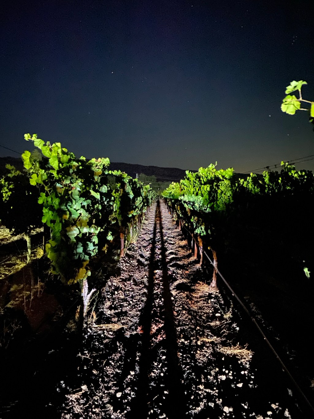 CORLEY | Ten Year&nbsp;Retrospective